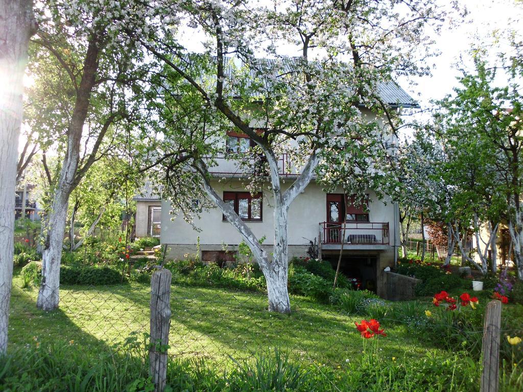 Guest House Krga コレニツァ エクステリア 写真